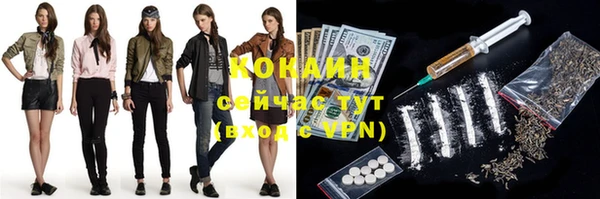 винт Алзамай