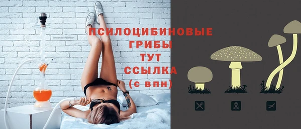 spice Алексин