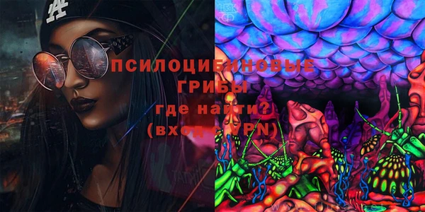spice Алексин