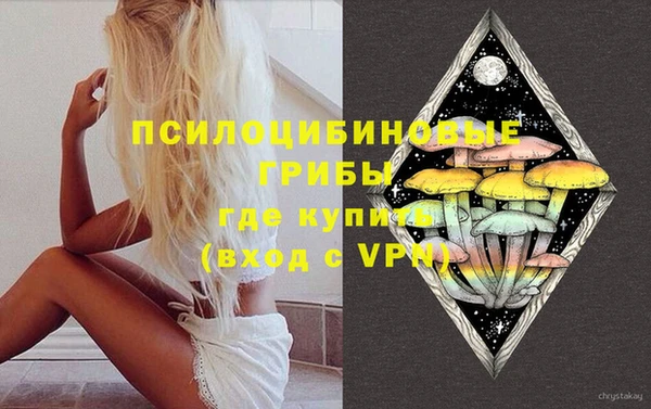 винт Алзамай