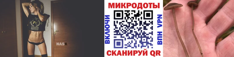 Галлюциногенные грибы прущие грибы  Чистополь 