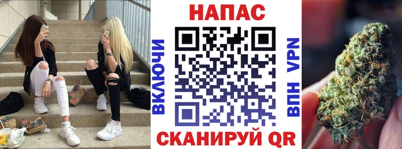 Конопля планчик Чистополь